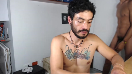 gatosrolo  13-04-2022